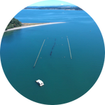 Load image into Gallery viewer, BAYWATER INDIGOS
