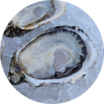 Load image into Gallery viewer, BAYWATER SWEETS
